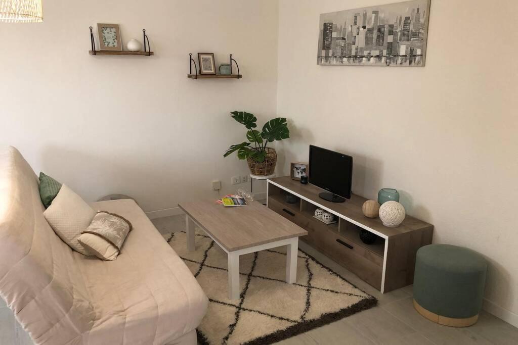 Appartement cosy avec jardin à Blagnac. Exterior foto